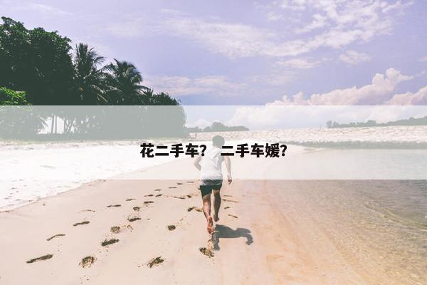 花二手车？ 二手车媛？