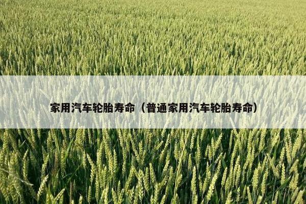 家用汽车轮胎寿命（普通家用汽车轮胎寿命）