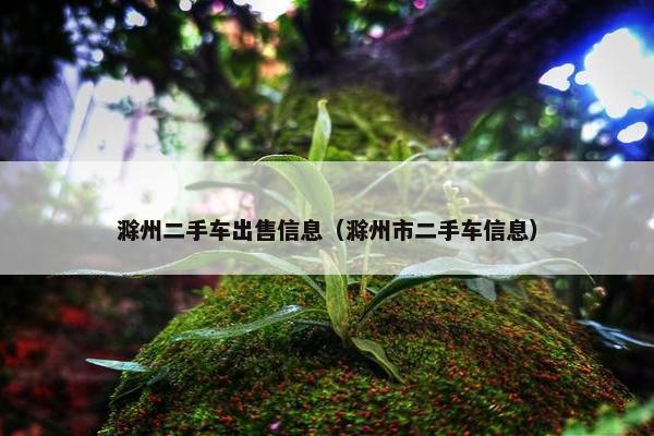 滁州二手车出售信息（滁州市二手车信息）