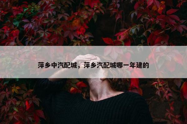 萍乡中汽配城，萍乡汽配城哪一年建的