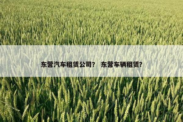东营汽车租赁公司？ 东营车辆租赁？