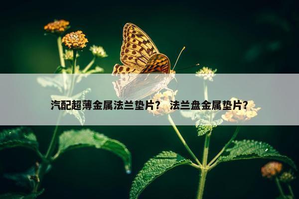 汽配超薄金属法兰垫片？ 法兰盘金属垫片？