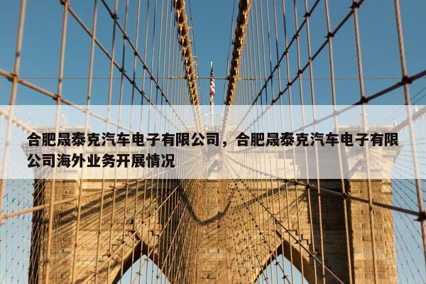 合肥晟泰克汽车电子有限公司，合肥晟泰克汽车电子有限公司海外业务开展情况