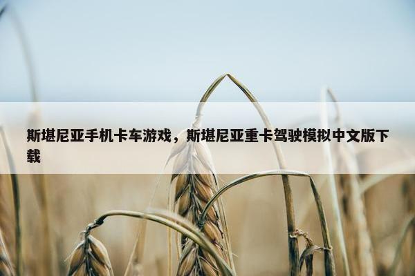 斯堪尼亚手机卡车游戏，斯堪尼亚重卡驾驶模拟中文版下载