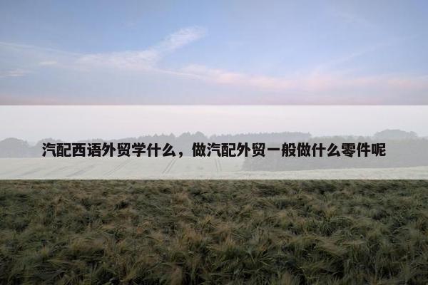 汽配西语外贸学什么，做汽配外贸一般做什么零件呢