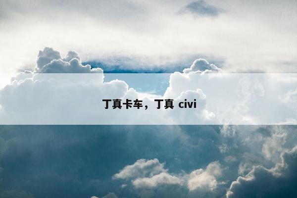 丁真卡车，丁真 civi