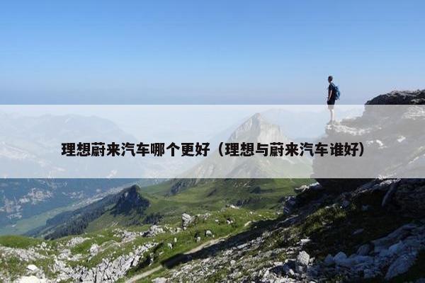 理想蔚来汽车哪个更好（理想与蔚来汽车谁好）