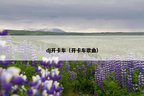 dj开卡车（开卡车歌曲）