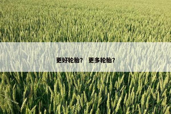 更好轮胎？ 更多轮胎？