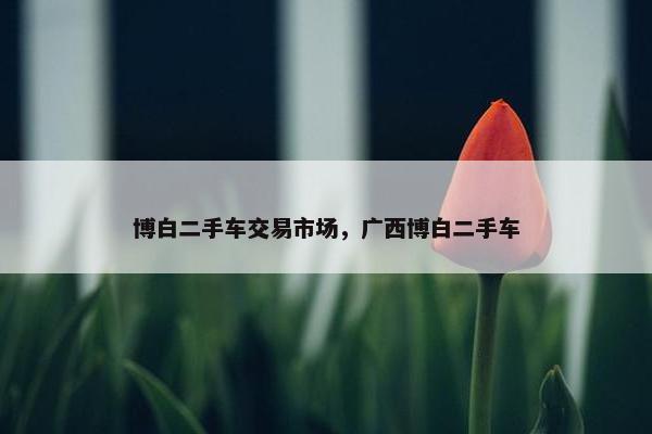 博白二手车交易市场，广西博白二手车