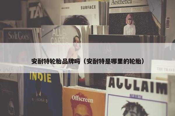 安耐特轮胎品牌吗（安耐特是哪里的轮胎）