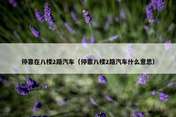 停靠在八楼2路汽车（停靠八楼2路汽车什么意思）