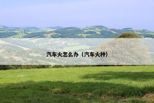 汽车火怎么办（汽车火种）