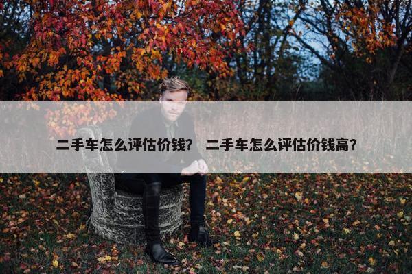 二手车怎么评估价钱？ 二手车怎么评估价钱高？