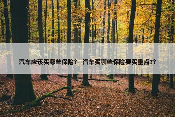汽车应该买哪些保险？ 汽车买哪些保险要买重点?？