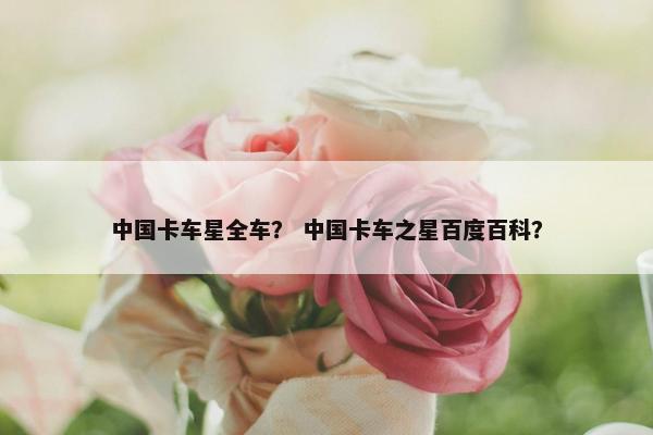中国卡车星全车？ 中国卡车之星百度百科？