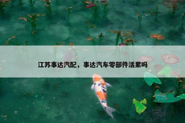 江苏事达汽配，事达汽车零部件活累吗