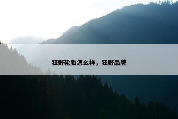 狂野轮胎怎么样，狂野品牌