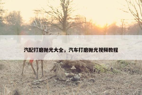 汽配打磨抛光大全，汽车打磨抛光视频教程