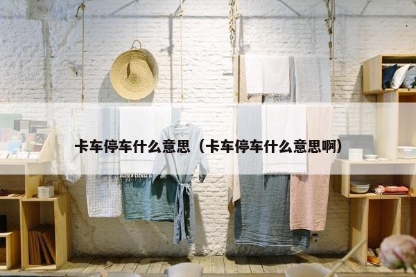 卡车停车什么意思（卡车停车什么意思啊）