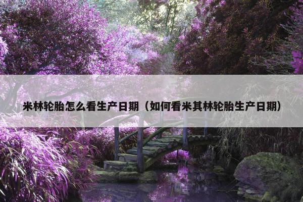 米林轮胎怎么看生产日期（如何看米其林轮胎生产日期）