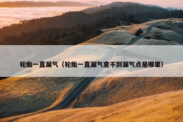 轮胎一直漏气（轮胎一直漏气查不到漏气点是哪里）