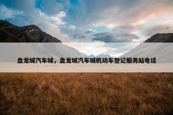 盘龙城汽车城，盘龙城汽车城机动车登记服务站电话