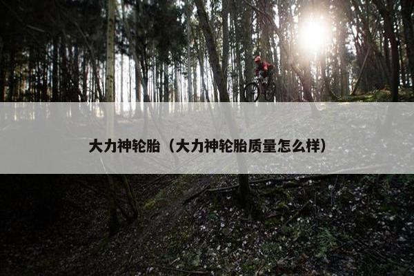 大力神轮胎（大力神轮胎质量怎么样）