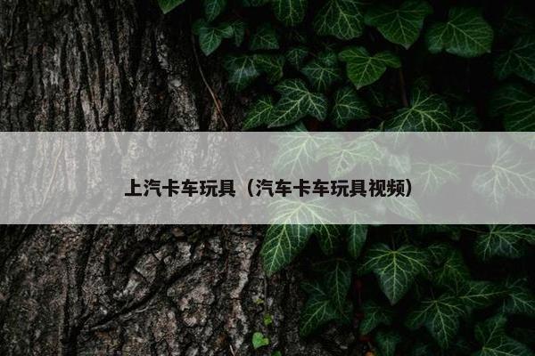 上汽卡车玩具（汽车卡车玩具视频）