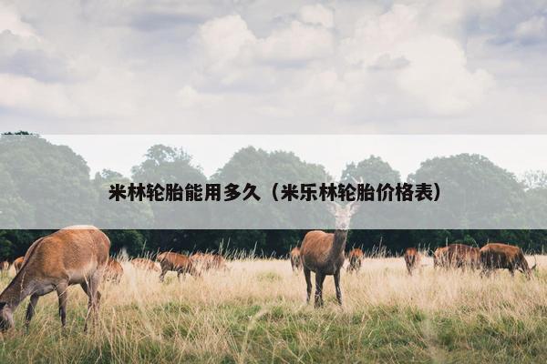 米林轮胎能用多久（米乐林轮胎价格表）