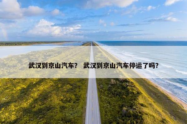 武汉到京山汽车？ 武汉到京山汽车停运了吗？