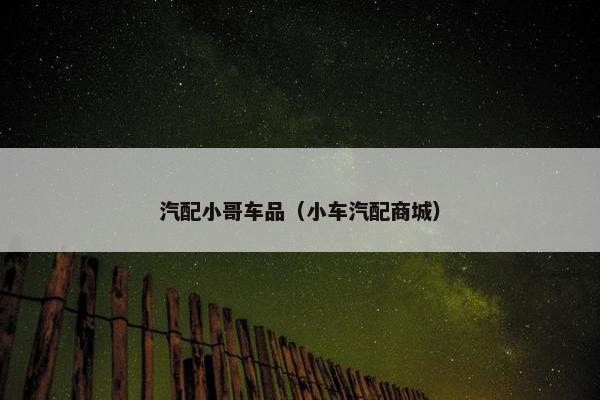 汽配小哥车品（小车汽配商城）