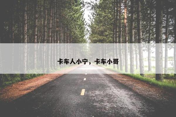 卡车人小宁，卡车小哥