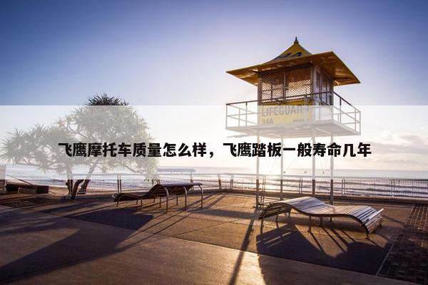 飞鹰摩托车质量怎么样，飞鹰踏板一般寿命几年