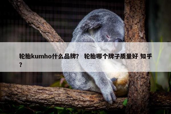 轮胎kumho什么品牌？ 轮胎哪个牌子质量好 知乎？