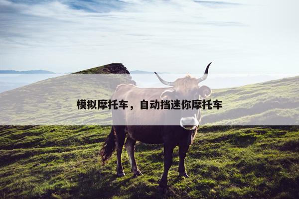 模拟摩托车，自动挡迷你摩托车