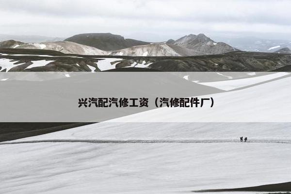 兴汽配汽修工资（汽修配件厂）