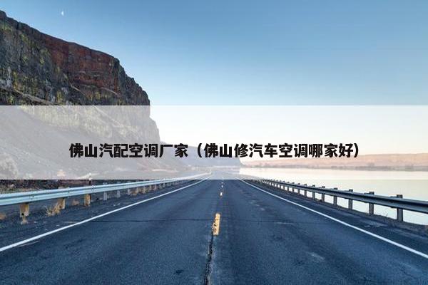 佛山汽配空调厂家（佛山修汽车空调哪家好）
