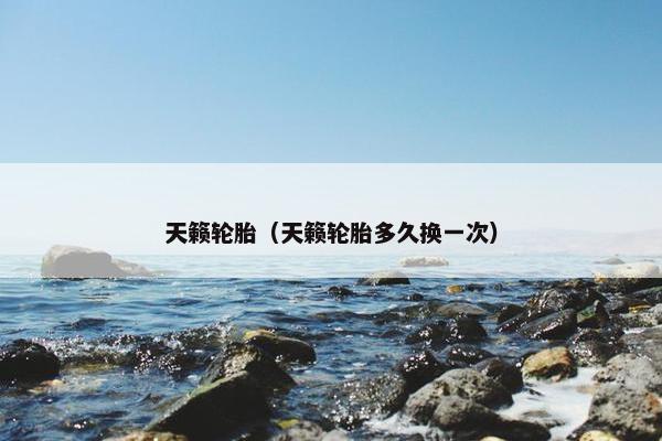 天籁轮胎（天籁轮胎多久换一次）