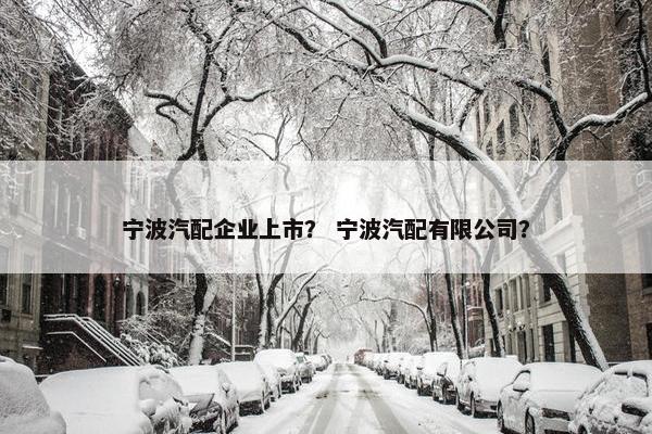 宁波汽配企业上市？ 宁波汽配有限公司？