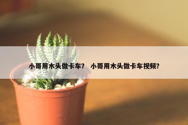 小哥用木头做卡车？ 小哥用木头做卡车视频？