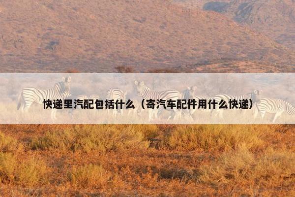 快递里汽配包括什么（寄汽车配件用什么快递）