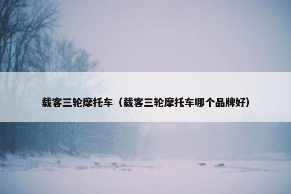 载客三轮摩托车（载客三轮摩托车哪个品牌好）