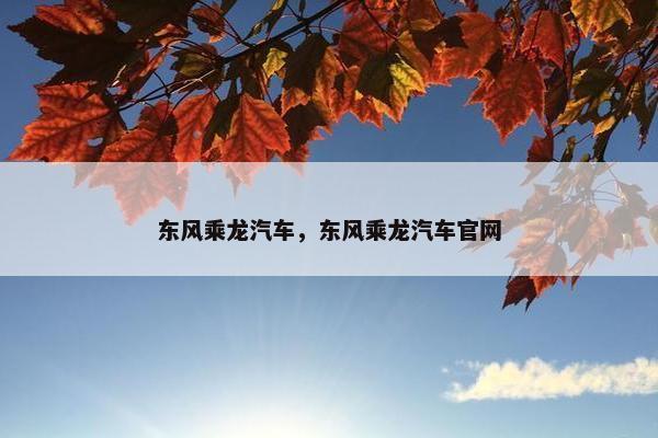 东风乘龙汽车，东风乘龙汽车官网