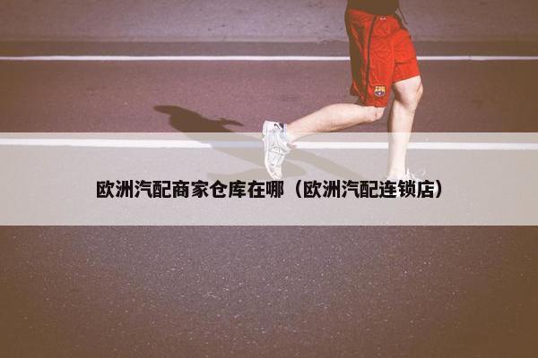 欧洲汽配商家仓库在哪（欧洲汽配连锁店）