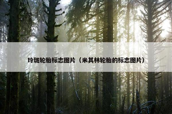 玲珑轮胎标志图片（米其林轮胎的标志图片）
