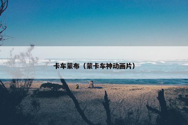 卡车蒙布（蒙卡车神动画片）