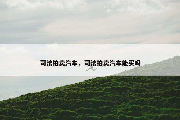 司法拍卖汽车，司法拍卖汽车能买吗