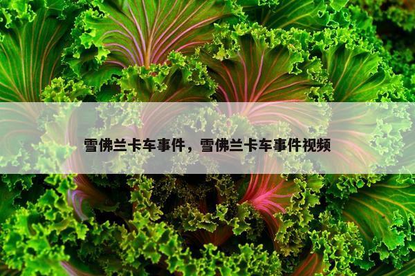 雪佛兰卡车事件，雪佛兰卡车事件视频