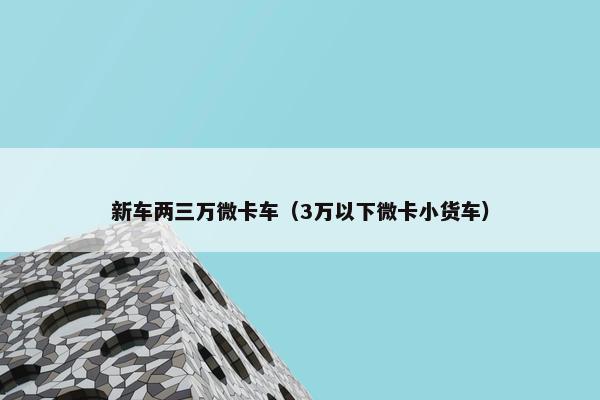 新车两三万微卡车（3万以下微卡小货车）
